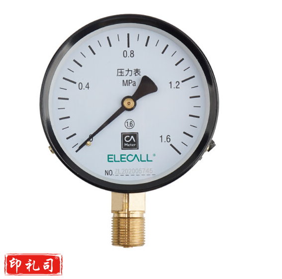 亚普特 Y100-1.6压力表