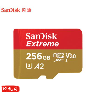 闪迪内存卡 256GB 