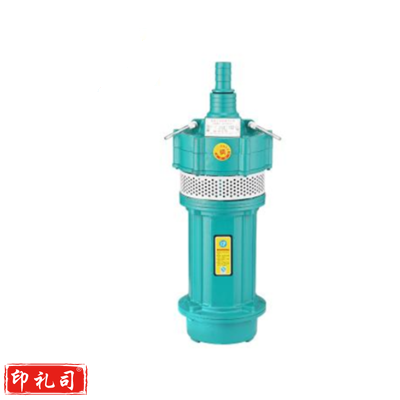 上海人民 QD3-45/3-1.1KW 220V 1寸 小型潜水泵
