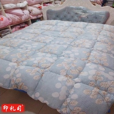 绮虹 羽丝绒 被子 160*210 冬季 羽丝绵被（颜色随机发送） 