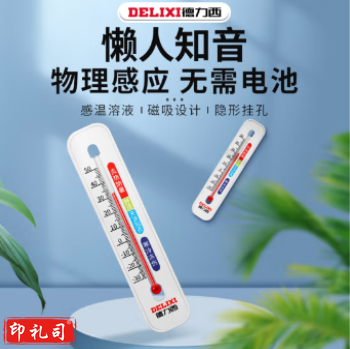 德力西（DELIXI）DM-1035温度计室内家用挂墙