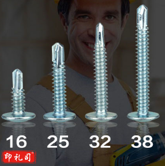 菊花（JUHUA）华司头自钻自攻 4*30[菊花] 一件100百 25袋 一袋4百