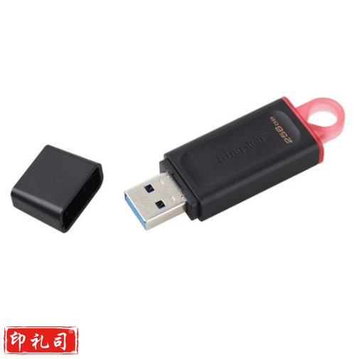 金士顿256GB USB3.2 Gen 1 U盘 DTX 时尚设计 轻巧便携 