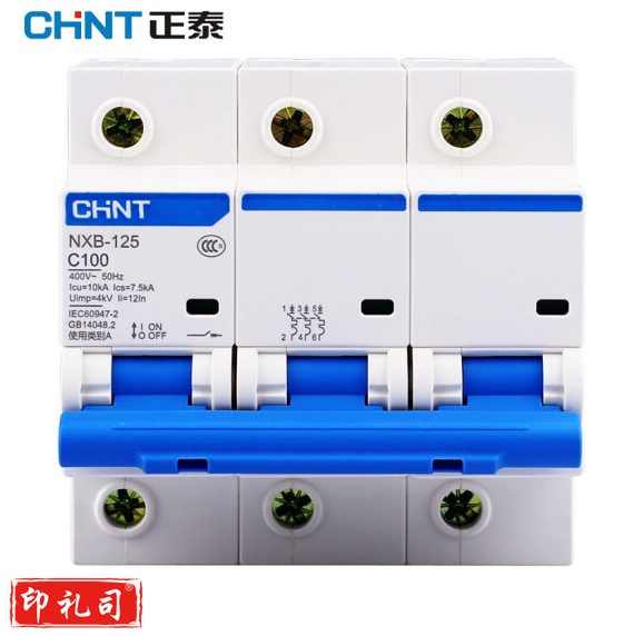 正泰（CHNT）NXBLE-125 小型漏电保护断路器 漏保空气开关 NXBLE-125-3P-C100 30mA