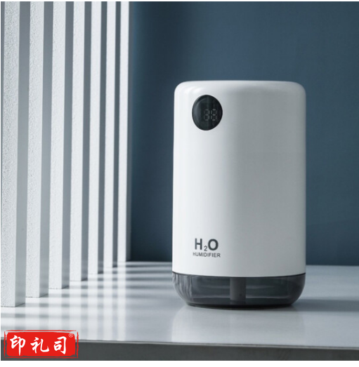 海纳斯 加湿器 家用卧室轻音小型空气加湿伴侣 充电便携式办公室桌面加湿器 D21 