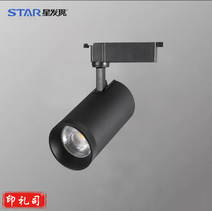 星发现 青春S20系列LED导轨射灯 XFX-C2006-10B