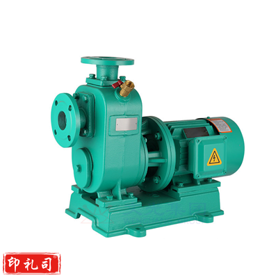 上海人民 PP-370A 0.37KW 220V 全自动冷热水自吸管道泵 