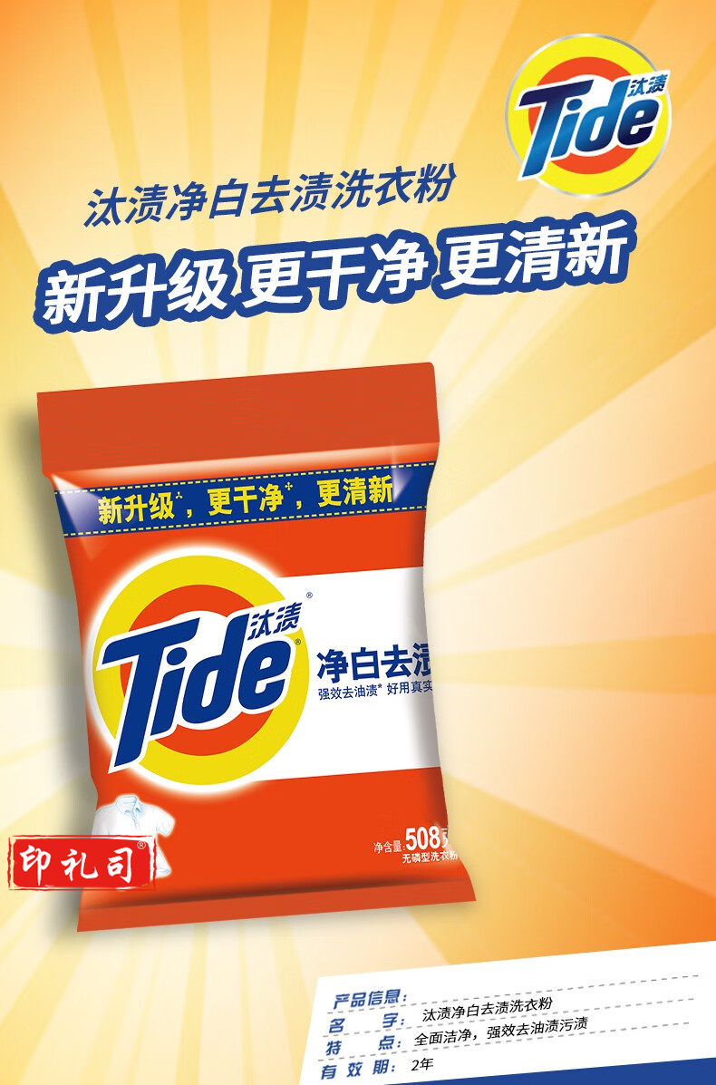 汰渍 洗衣粉(小袋) 508克