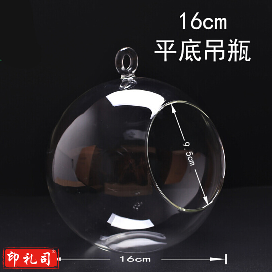 微景观生态瓶 平底吊瓶 收纳瓶 直径16cm 