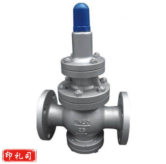 蒸汽减压阀 DN50 1.6mpa
