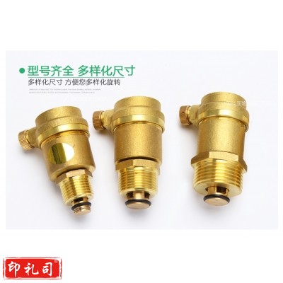 20 自动排气阀 全铜放气阀 暖气管道水管排气阀 