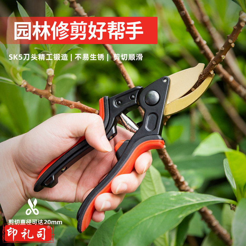 得力(deli) SK5钢刀头树枝剪园林剪修枝剪粗枝剪树枝果枝剪花木剪三档开口可调节可剪0-20mm树枝 DL580223