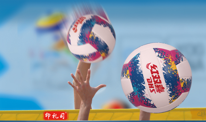 红双喜(DHS) FV5-1排球机缝软沙滩球5号室内外用教学比赛