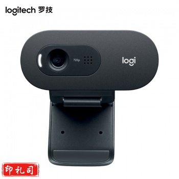 罗技（Logitech）C505e高清网络摄像头 电脑办公摄像头