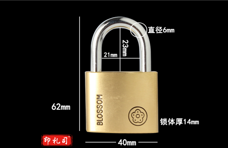 梅花（BLOSSOM）铜挂锁40mm 自动门锁 防水防锈办公室宿舍铜锁 仓库大铁门抽屉锁柜门锁