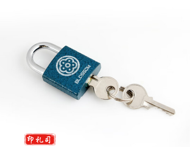 梅花（BLOSSOM）抽屉锁挂锁工具箱室内小锁宿舍柜子门锁电表箱锁BC2925蓝25MM