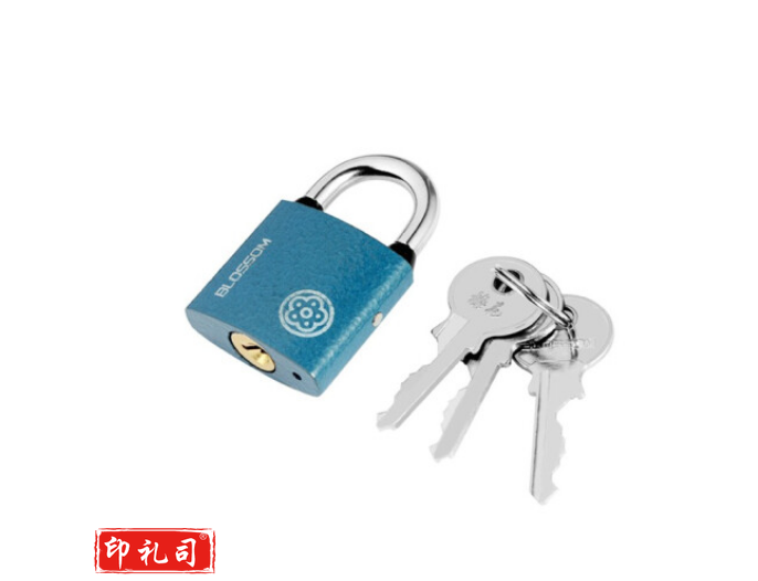 梅花（BLOSSOM）铜芯铁锁 室内外大门锁60MM蓝色BC2963