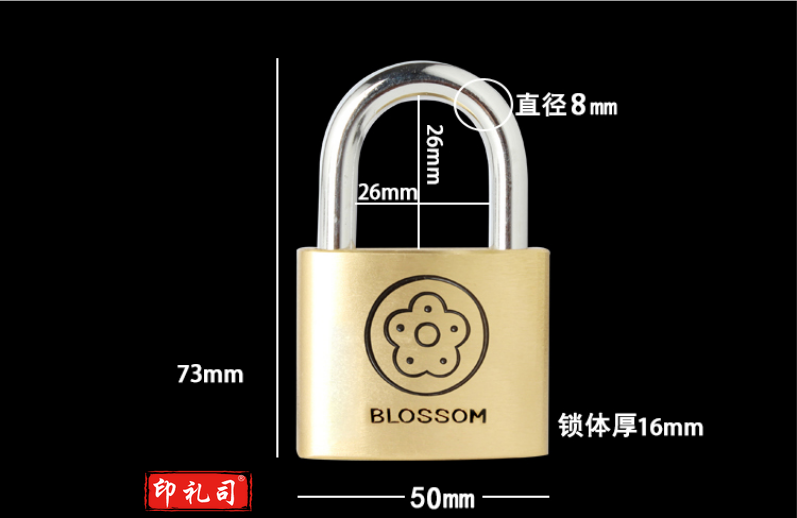 铜挂锁50mm 防水防锈办公室宿舍铜锁 BC9050