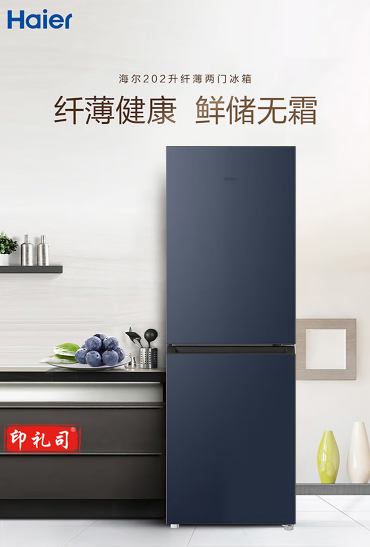海尔冰箱BCD-202