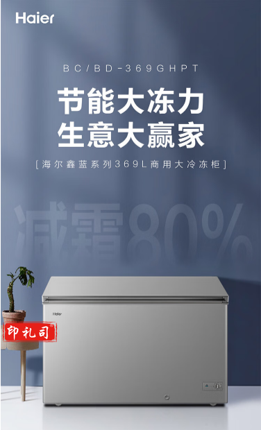 海尔冷柜BC/BD-519GHPT