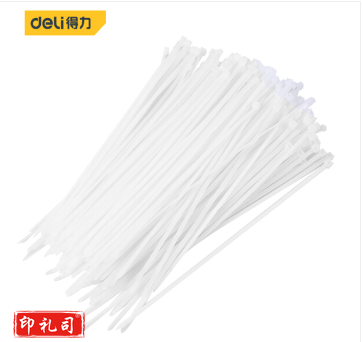 得力（deli）DL9446 自锁式尼龙扎带 理线带 扎线 4.0*250mm 白色 200支装 