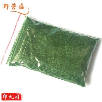 沙盘细砂草粉绿色/蓝色沙子草粉绿色细沙沙盘绿粉蓝粉地物模型模拟沙盘材料