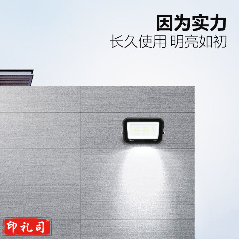 公牛（BULL）LED投光灯庭院灯工地灯园林照明露营灯 IP65防水100W-6500K白光