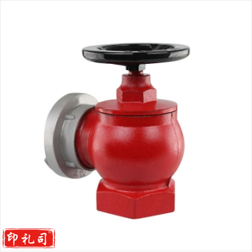 室内消防栓 2寸消防栓 室内消防栓