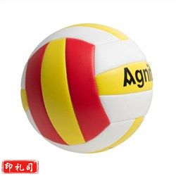 得力(deli) F1253  安格耐特排球5号PVC软式排球