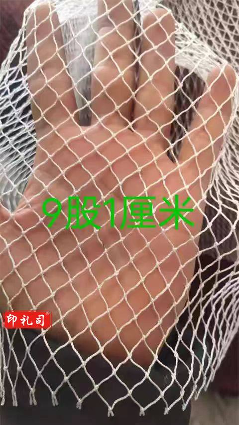  尼龙网大棚果园网防鸟网防护网 9股网眼1厘米 (宽3米 长度可定制) 总价联系客服