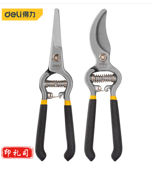 得力（deli）园艺剪两件套剪刀不锈钢园林花艺剪子工具修剪树枝剪刀花剪
