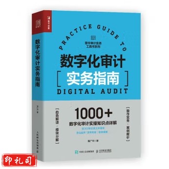 正版 数字化审计实务指南