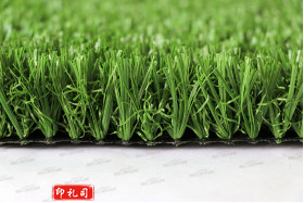  青禾 巨联30mm免充砂人造草坪 14000密度