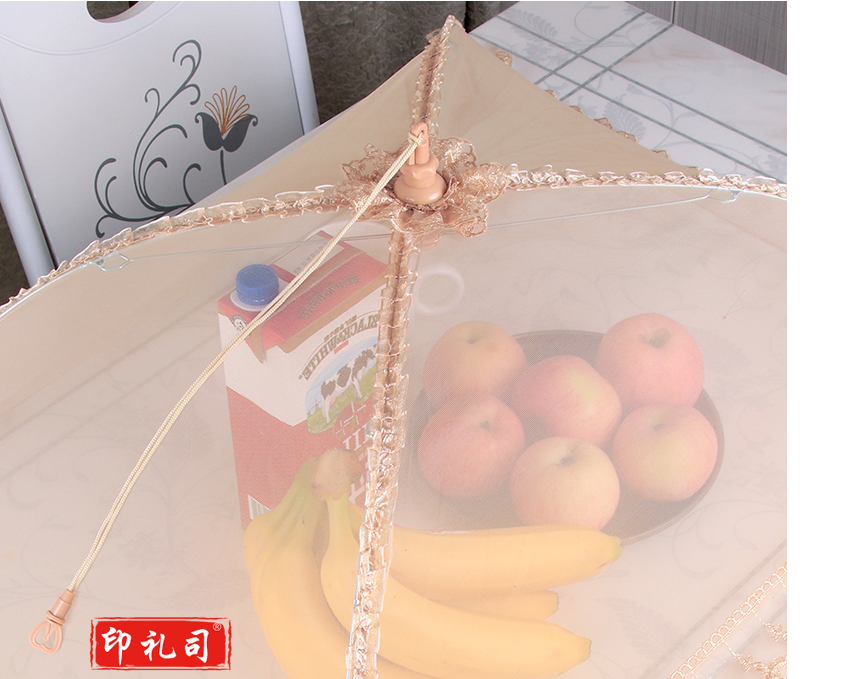  饭菜罩子 遮蝇罩 食物罩 家用餐桌罩 尺寸650*450mm