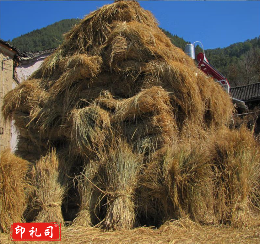 草绳 稻草 草帘大棚保温草帘 干稻草 大树管道包裹工 程道路覆盖(1000斤起送下单前请来电咨询)