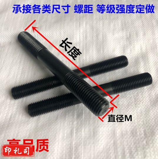  10.9级高强度双头螺丝螺杆双头螺栓丝杆模具压板螺丝M16M20M24M30 M20*200(套)