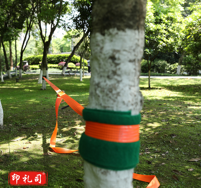 平衡走扁带幼儿园感统训练器材户外体能拓展运动锻炼玩具走软绳-15米