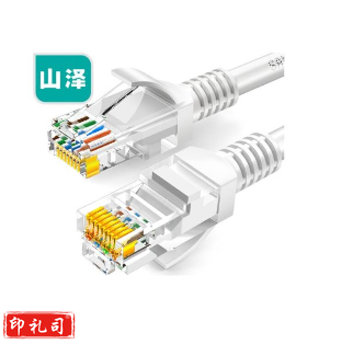 山泽超五类网线 CAT5e类高速百兆网线 3米 ZW-03