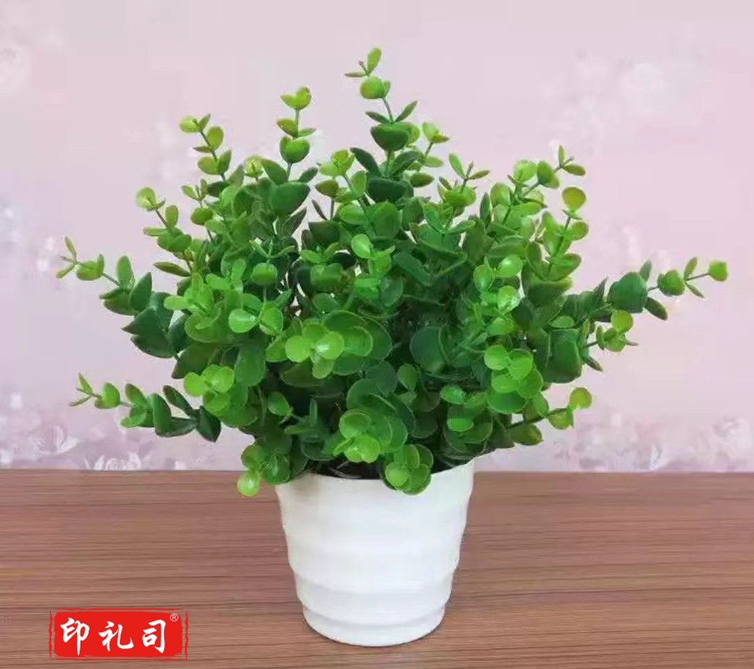 装饰花束仿真植物尤加利