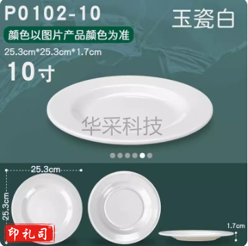 A5密胺仿瓷餐具白色圆盘10寸