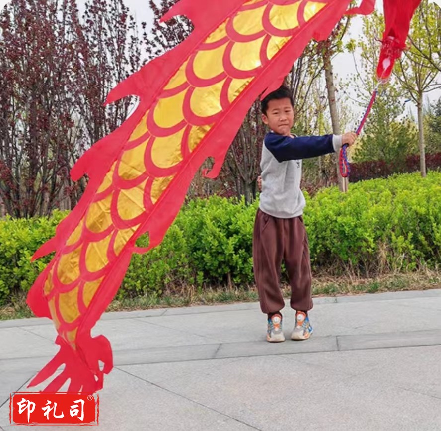 舞龙带龙头彩带甩龙 2米