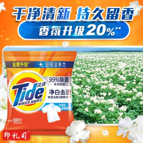汰渍 洗衣粉净白去渍508克/袋