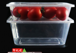 一次性餐盒 透明餐盒 规格：750ML 300套/箱  TJHX04251615459406