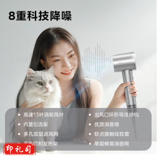 美的(Midea)高速吹风机 家用吹风筒 大风力速干 高浓度等离子护发电吹风 FG208