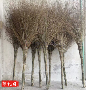 加厚一体式环卫大竹扫把 加厚笤帚