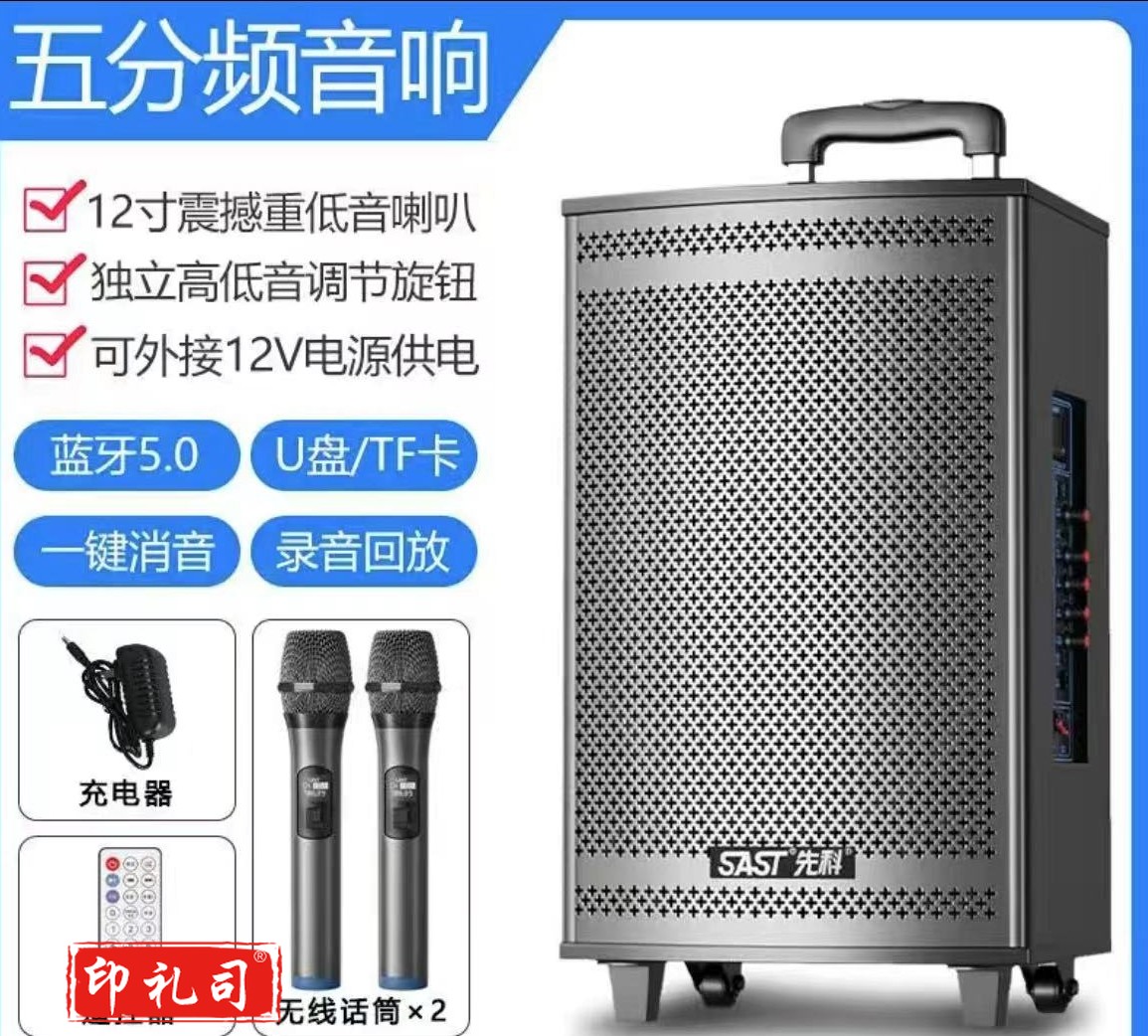 先科蓝牙音箱拉杆便携音箱27寸木箱五分频+无线K歌话筒2支