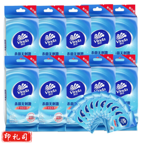 维达  VW1009湿巾 10片装*10包 