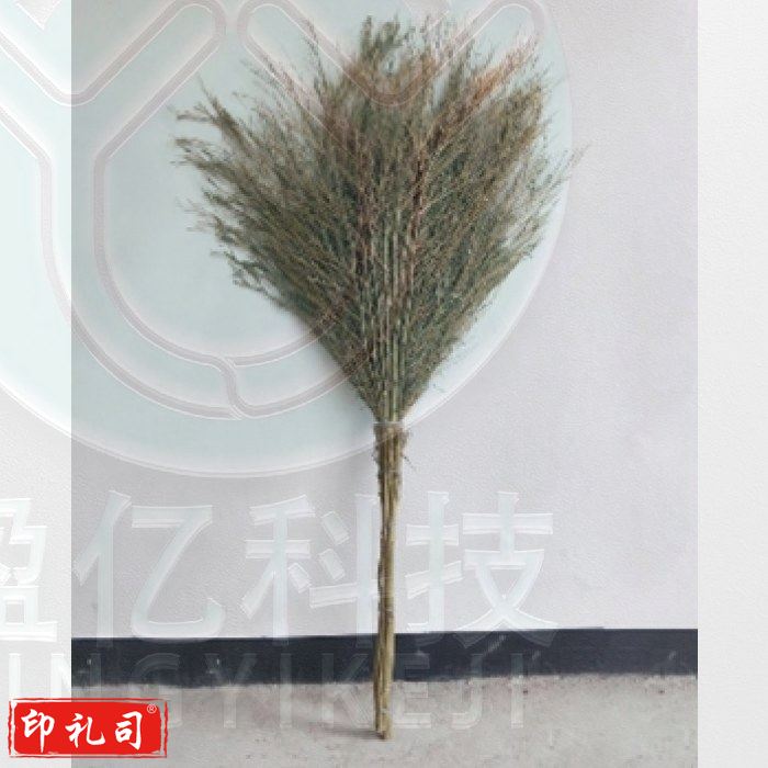 卫益升 手工竹制大扫把扫帚 4斤连体 QJ.462