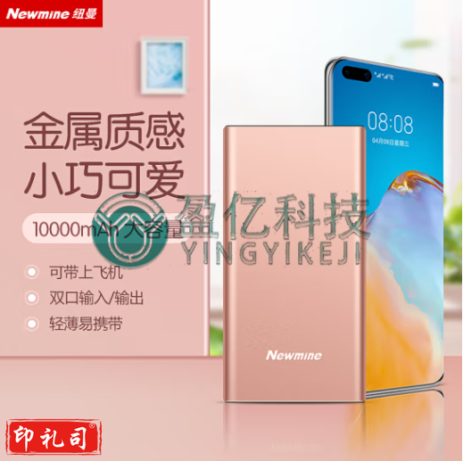 纽曼 （Newmine ）移动电源10000毫安时双USB输出Type-C输入金属充电宝M106