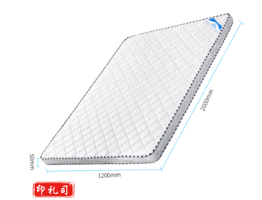 椰棕床垫棕榈垫单人床垫2000*1200*50mm米床垫子 2000*1200*50mm